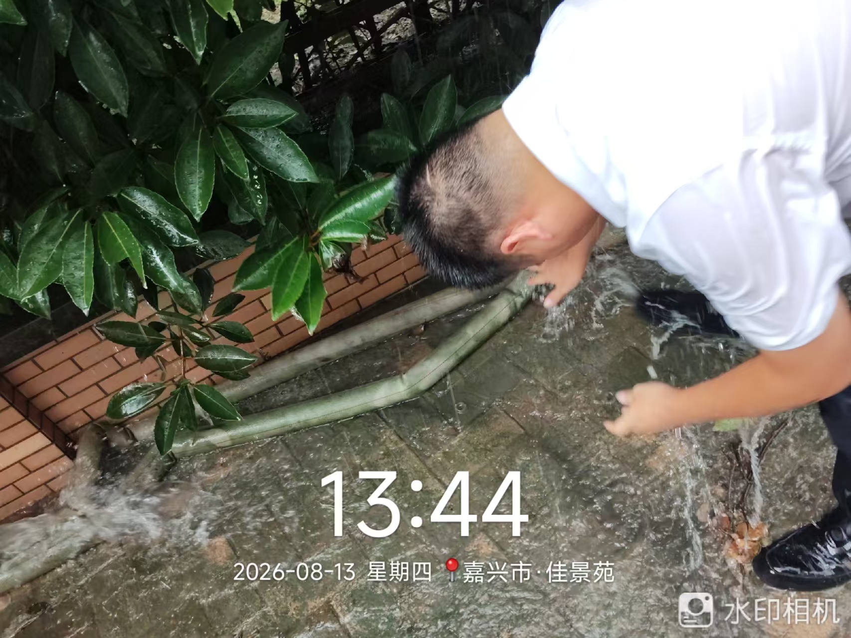 1786668450163891.jpg