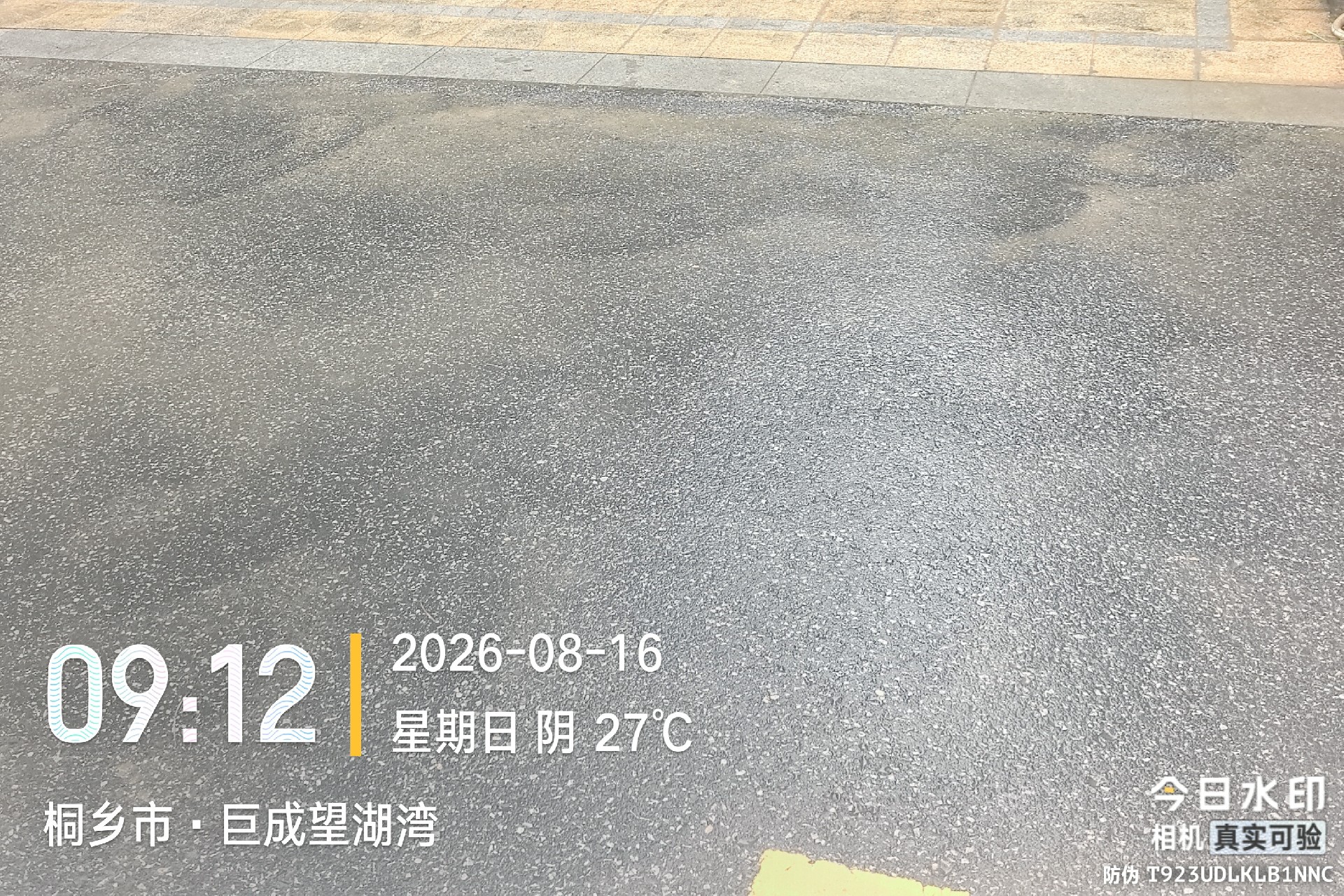 1790047239123793.jpg